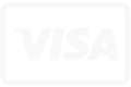 visa logo